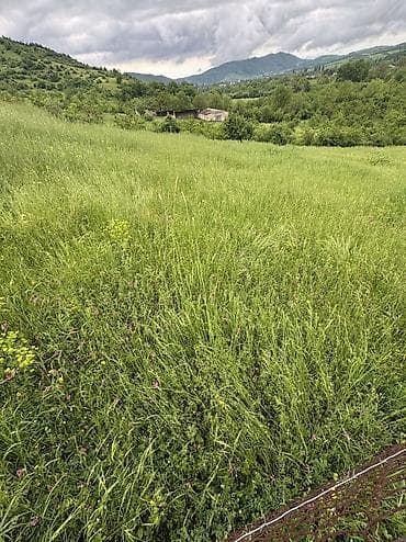 1 otaqlı ev: 80 sot, Kənd təsərrüfatı, Mülkiyyətçi, Kupça (Çıxarış), Bələdiyyə — 2