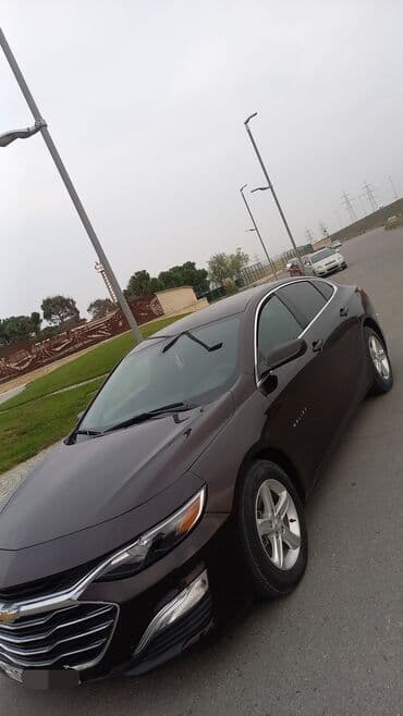 ravon nexia r3 satis merkezi: Chevrolet Malibu sedan - Korpus: 4 qapılı sedan, tünd — 4