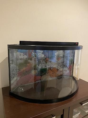 Аквариумы: Пустой, 200 л, Самовывоз — 6