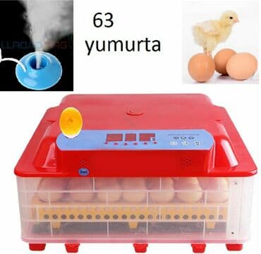 bütün kateqoriyalar: Çin, Fabrik istehsalı, Tam avtomat, Bütün növ quşlaq üçün — 1