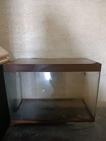 Şüşə akvarium - Material: şəffaf şüşə, yuxarı və alt kənarlarda