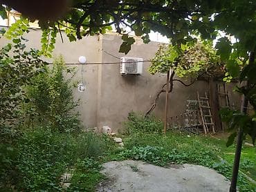berde ev: Birbaşa sahibindən ayrı qiriş-cixişi küçədən olan,uzun müddətli — 10