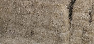 Yemlər: Məhsul: Preslənmiş 1-ci biçim yonca vələmir presi satılır.Dənəsi — 2