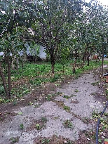 sutkaliq bag evi: Allah her kese xeyir versin seherde avtovagzala yaxin 11sot mehlenin — 2