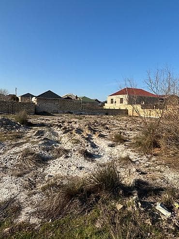 5 sot, Tikinti, Kupça (Çıxarış)