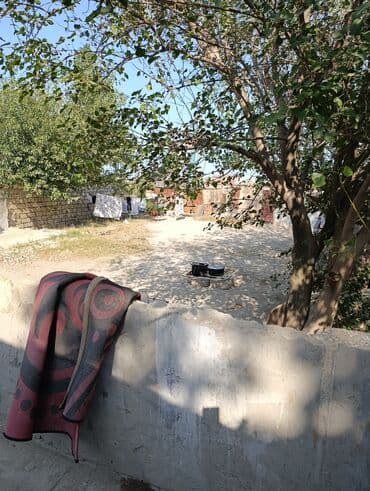 бина аз дома: Geniş və işıqlı həyət evi - Böyük zal: klassik çilçıraq, dekorativ — 9