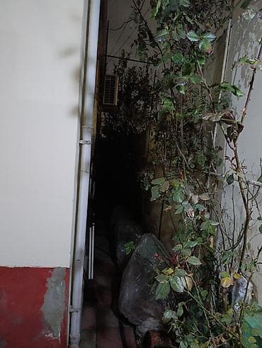 İcarəyə yararlı həyətyanı sahəsi və sanitar qovşaq - Qapalı həyətyanı