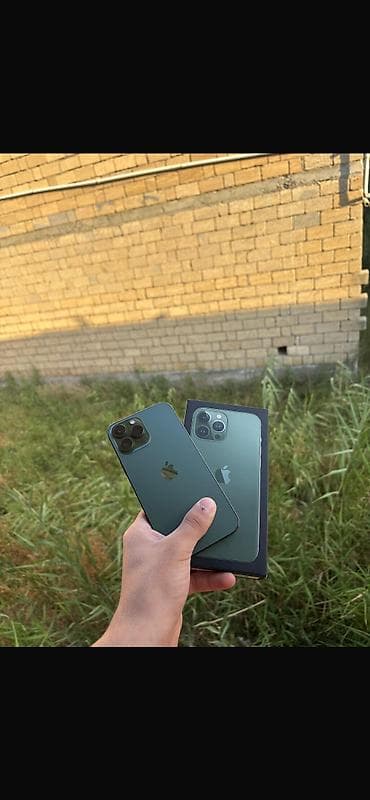 iphone 12 pro max dubai: IPhone 13 Pro Max, 256 GB, Alpine Green — 1