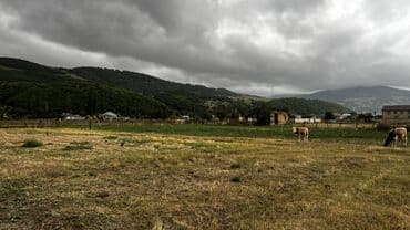 xacmazda torpaq satilir: 10 sot, Tikinti, Maklerlər narahat etməsin, Kupça (Çıxarış) — 1