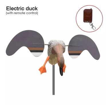 bakıda ovcu mağazaları: Qenedvuran ordek — 2