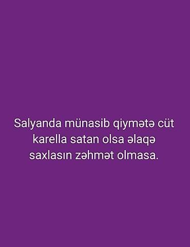 Tutuquşları
