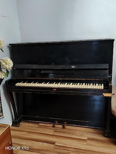 Velosiped ehtiyyat hissələri: Piano, Belarus, Akustik, İşlənmiş, Ünvandan götürmə — 3