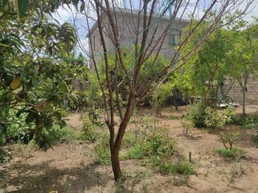 xətai kirayə: 150 kv. m, 4 otaqlı, Qaz, İşıq, Su — 14