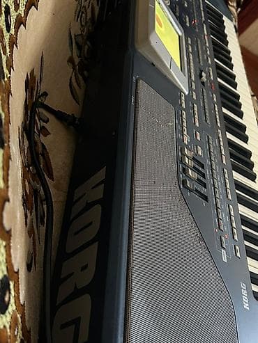 akustik gitara simi: Sintezator, Korg, Yeni, Ünvandan götürmə — 5