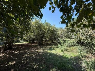 ahmadli park residence: Satılır: geniş və işıqlı həyət evi - Planlama: bir neçə otaqdan — 9