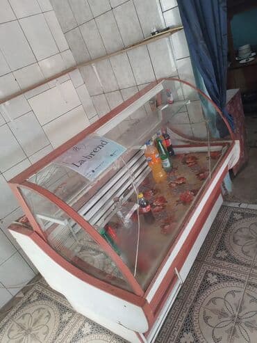 soyuducular ikinci əl: Vitirin soyuducu şuşesinde Cat var ama soyudur normal isdeyir tecili — 3