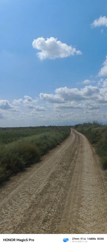 mingecevirde kiraye evler 2019: 257 sot Kənd təsərrüfatı — 4