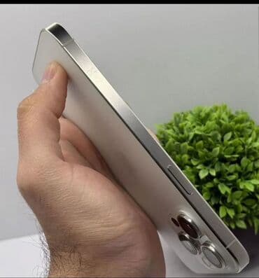 Информатика: IPhone 15 Pro Max, 256 ГБ, Серебристый, Face ID — 4