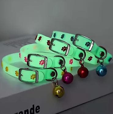 Parlayan heyvan boyunbağısı – it və pişiklər üçün Gündəlik istifadə lalafo.az -da Parlayan heyvan boyunbağısı – it və pişiklər üçün Gündəlik istifadə