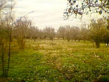 Квартиры: 88 соток, Для сельского хозяйства, Купчая — 3