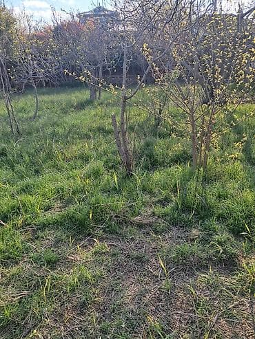 sedmoyda kiraye evler: Для строительства — 1