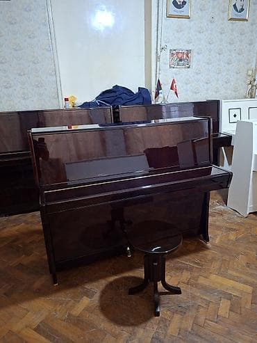 gitara akustik: Piano, Petrof, Akustik, Yeni, Pulsuz çatdırılma — 2
