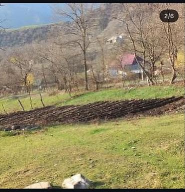 kend evi: Kənd təsərrüfatı — 1