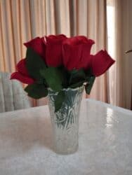 pul gulu cicek aciyor: Gül və güldan plasmasdan — 5