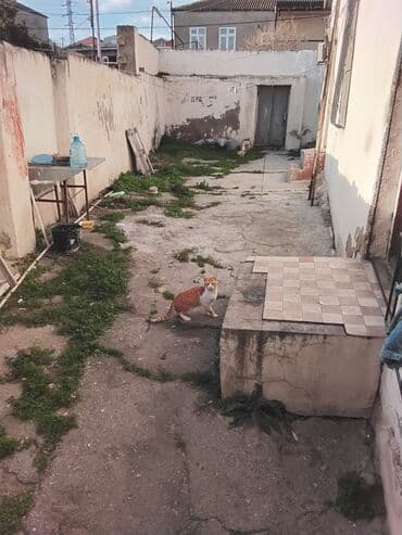 дом в ивановке: Пос. М. Э. Расулзаде 4 комнаты, 70 м², Без ремонта — 10