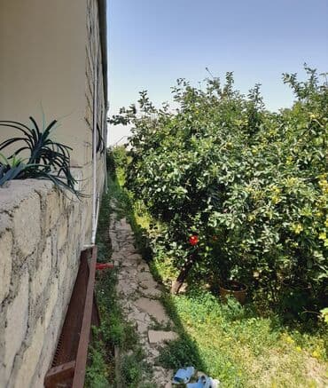 badamdar qəsəbəsi: 3 otaqlı, 116 kv. m, Orta təmir — 3