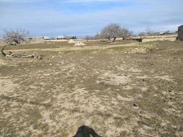 купить землю в кусарах: 24 sot, Mülkiyyətçi, Bələdiyyə — 1