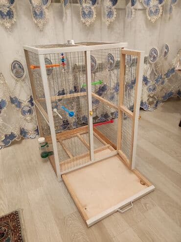 ag dovsan: Papuqay,dovşan,hamster,şinşila,bildirçin,cücə,xamyak,pişik,quş,tısbağa — 3