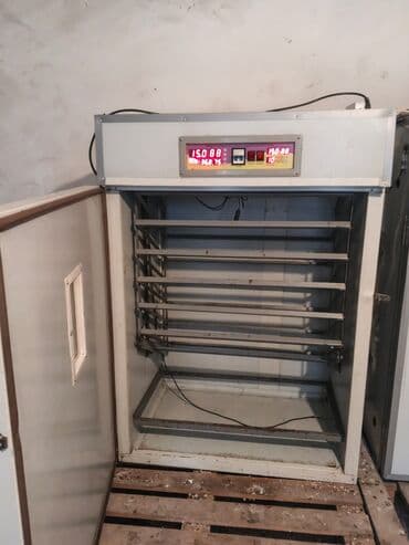 1100 yumurta, Tam avtomat