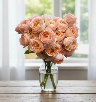 dayə iş: Роза японская Принцесса Айко — 1