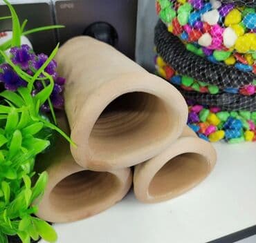 Akvariumlar: Antsitrus yuvasi 4azn Akvarium baliglarinin satiwi 🦈 Danio baligi — 1