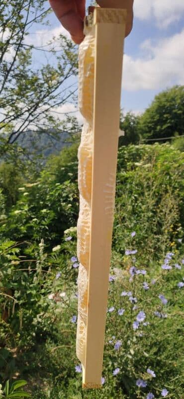 продается мед: ELF BEE'S 1977 ECO-PRODUCT FOR HEALTH AND LONGEVITY Tovuzun — 3