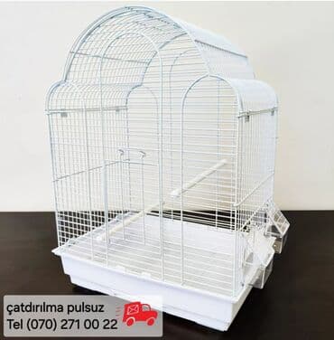 popuqay qefesi: Tutuquşu qəfəsi (papuqay qəfəsi). Korella, nerazlucnik, fişer — 4