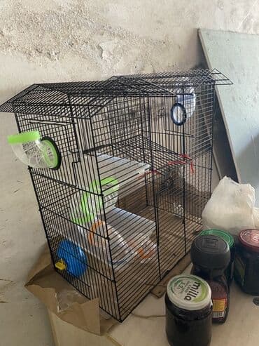 купить клетку для морской свинки: Şəkillərdə qara metal çərçivəli heyvan qəfəsi təsvir edilmişdir. Qəfəs — 1