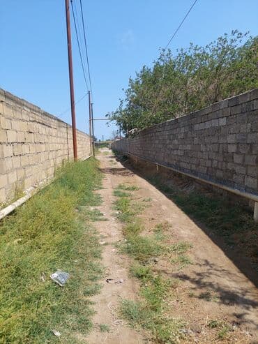 maştağada sot: Tikinti, Mülkiyyətçi, Kupça (Çıxarış) — 5