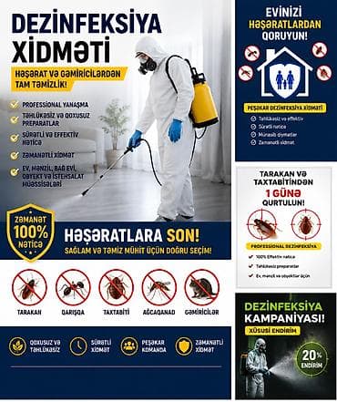 Dezinfeksiya xidməti Evinizi həşəratlarla bölüşməyin! 🪳 Tarakan 🛏️