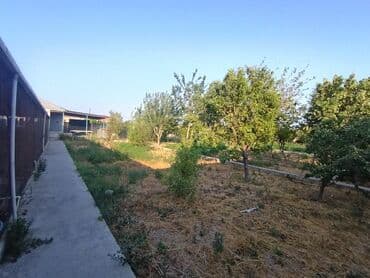 binə qəsəbəsi ats: 25 sot, Tikinti, Kupça (Çıxarış) — 8