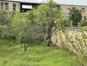 gence menziller satisi yeni: 4 otaqlı, 250 kv. m, Yeni təmirli — 9