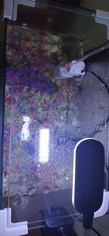 Akvaryum dəsti – şüşə kvadrat akvarium və tam işlək avadanlıqla