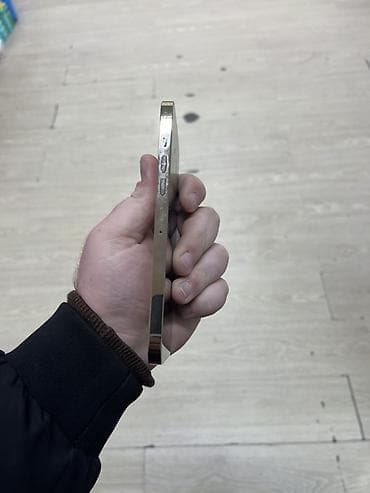 ipad 8 nesil: IPhone 13 Pro Max, 128 GB, Qızılı, Face ID — 4