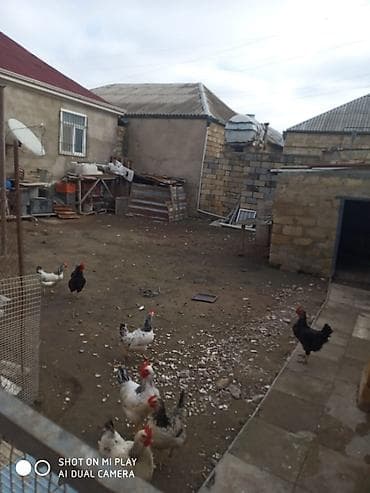 15 yaş iş: 4 otaqlı, 4 kv. m, Orta təmir — 7
