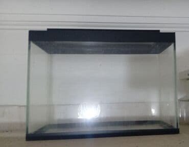 аквариум баку: Akvaryum barter edirem baxır TƏKLİFƏ. Ev üçün ofis üçün ela — 1