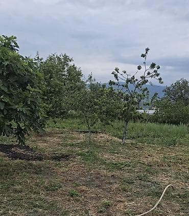 daşınmaz əmlak satışı: İsmayıllı, 52 kv. m, 4 otaqlı — 6