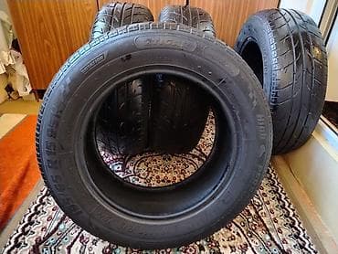 masin oluxanasi: Şin 195 / 65 / R 15 — 3