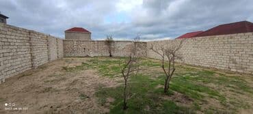 dübəndi torpaq: 6 sot, Tikinti, Makler, Kupça (Çıxarış) — 5