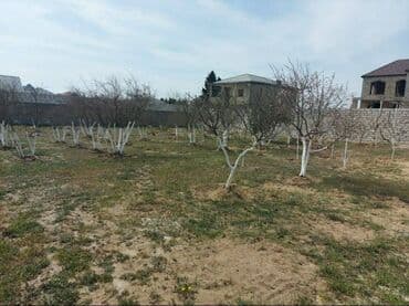 земельные участки в деревне: 12 соток, Для строительства, Риэлтор, Купчая — 3